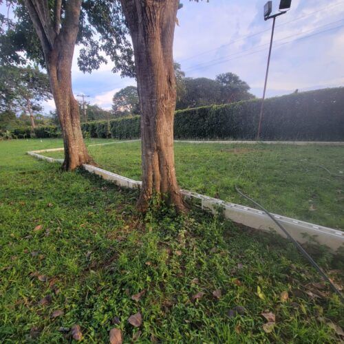 FINCA SABANA DEL MEDIO BARRERA VIA CAMPO DE CARABOBO PARA INVERSION Y GENERAR RETORNO O PARA VIVIR O RETIRARSE LOS FINES DE SEMANAS