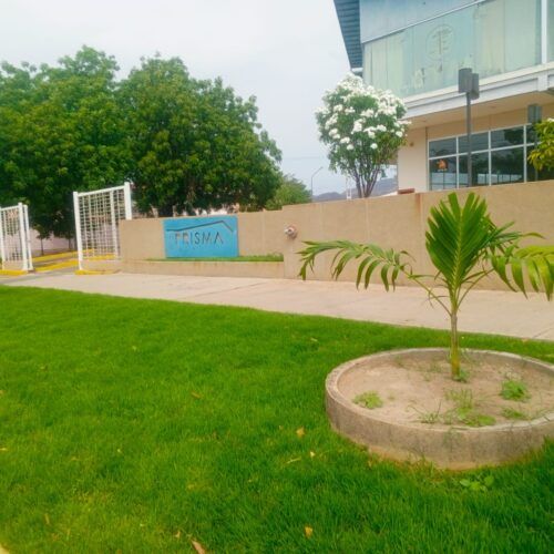 Local Comercial en Alquiler en C.C Prisma Guacara Los Guayos