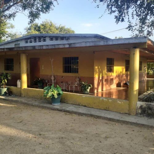 EN VENTA FINCA GANADERA DE  650 HECTAREAS / VACA VIEJA EN EL PAO ESTADO COJEDES