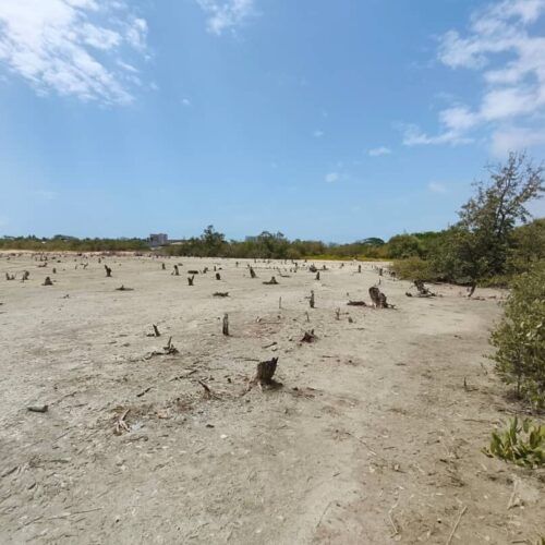 Terreno en Venta Tucacas Estado Falcon.