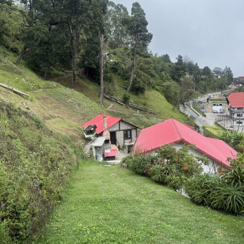 Posada Turística en Venta en La Colonia Tovar – 8 Cabañas y con Locales Comerciales