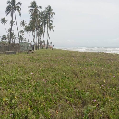 Terreno en Venta en Boca de Aroa Boca Yaracuy Municipio Silva Sector Las Guacharacas Estado Falcon