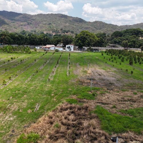 Finca en Venta ubicada en el Sector El Milagro Güigüe Edo Carabobo