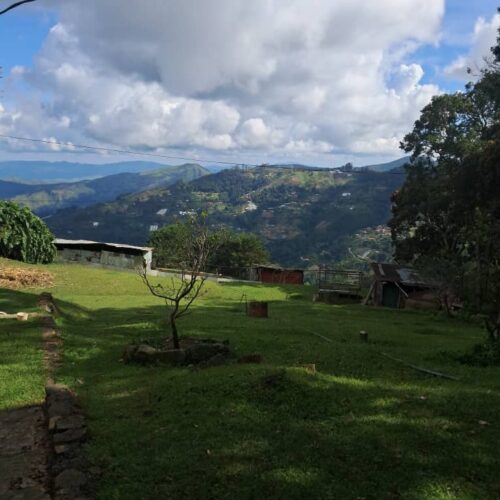 Terreno en Venta en La Colonia Tovar  Aragua