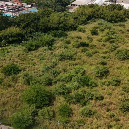 Terreno Comercial Residencial Premium de 37.200 m en Venta Al lado Parque El Agua Valencia