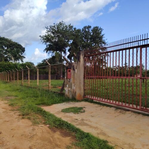 Finca En Sabana Del Medio Tocuyito Barrera